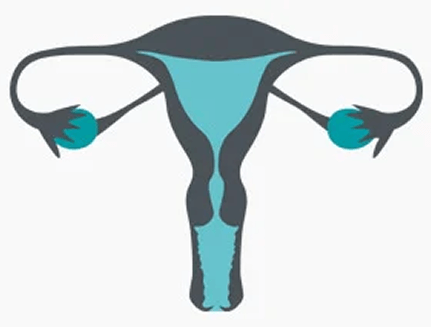 Гинекология